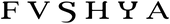 Fvshya Corp
